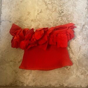 Zara Flower Rose Tube Top